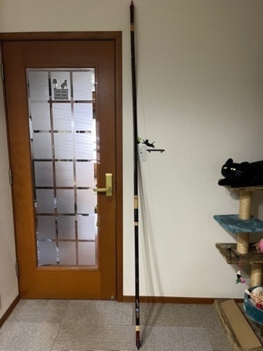 直心カーボン 伸 20キロ