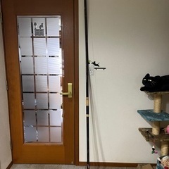 直心カーボン 伸 20キロ