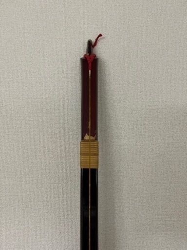 直心カーボン 伸 20キロ