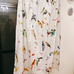 鳥カーテン