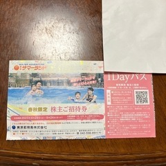 東京サマーランド　株主ご招待券　1Dayパス　1枚　1000円