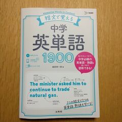 英語専門・オンライン家庭教師（個人契約）の画像