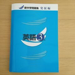 英語専門・オンライン家庭教師（個人契約）の画像