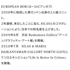 【美品】ヨーロピアン・ボブ TI.DOUBLE-GUH (青)の画像