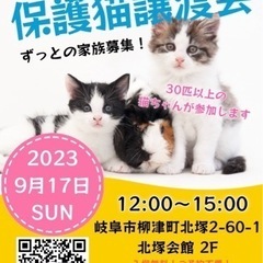in岐阜市 🐱🐾 保護猫譲渡会
