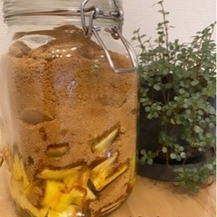 フルーツの発酵ドリンク教室の画像