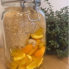 フルーツの発酵ドリンク教室の画像