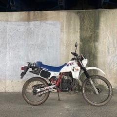 Honda MTX50R ホンダ ヴィンテージモトクロス 旧車