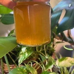 フルーツの発酵ドリンク教室の画像