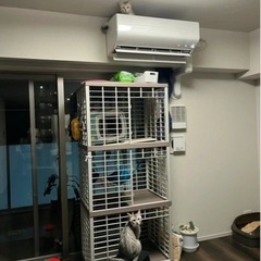 収納型キャットケージ3段1段2段可能キャスター付 キャットハウスの画像