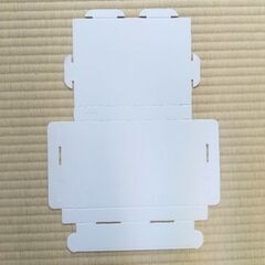発送用テープレスケース 厚み25ｍｍ 64個