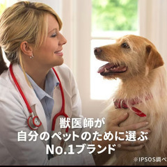 ■6.5kg■日本ヒルズコルゲート Hill’s-Colgate Japan Ltd 日本ヒルズ･コルゲート サイエンスダイエット Hill’s SCIENCE DIET サイエンス・ダイエット シニアアドバンスド 小粒 高齢犬用 ■新品■未開封■未使用■特価■現品限り■ チキン ドッグフード ペットフード 総合栄養食 犬用 犬 ワンちゃん 食事の画像