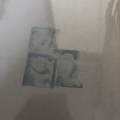 アルバム　リラックマ の画像