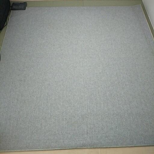 日立のホットカーペット