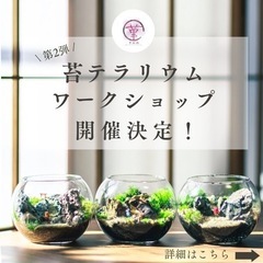 【10/8(日)上尾駅 苔テラリウム作り】