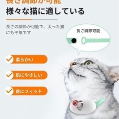 猫ちゃん🐈‍⬛のおもちゃ新品