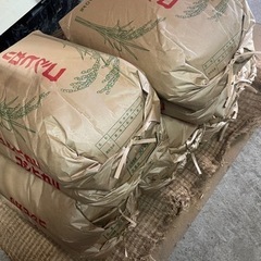 コシヒカリ　新米