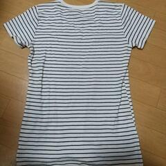 レディース ボーダー半袖Tシャツ  の画像