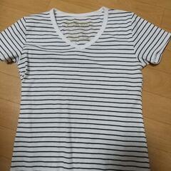 レディース ボーダー半袖Tシャツ  の画像