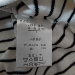 レディース ボーダー半袖Tシャツ  の画像