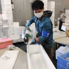 【住宅手当有り/大田市場勤務】 ロジスティクス物流担当者 (正社員)の画像