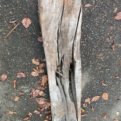 置物　玄関前などに　　外使用　庭仕様　　朽ちての画像