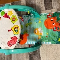 4wayオーシャンへんしんジム(&やりたい放題セレクト)の画像