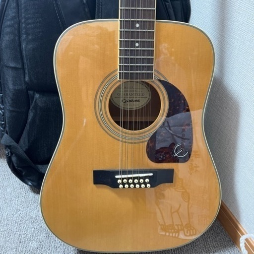 弦楽器、ギター Epiphone DR-212
