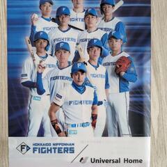 ファイターズ✕ユニバーサルホーム　ファイル　４枚セットの画像