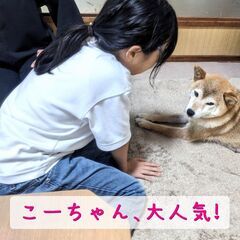 【ご参加感謝】不登校児童生徒さん保護者様向け無料相談会（開校一周年記念残り１回）の画像