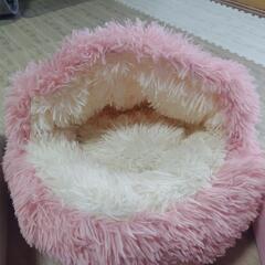 新品キャット用品セット☆の画像