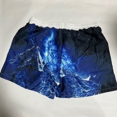 メンズ海パンLの画像
