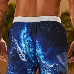 メンズ海パンLの画像