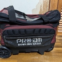【無料】ボウリングバッグ　ボール2個入ります　proam
