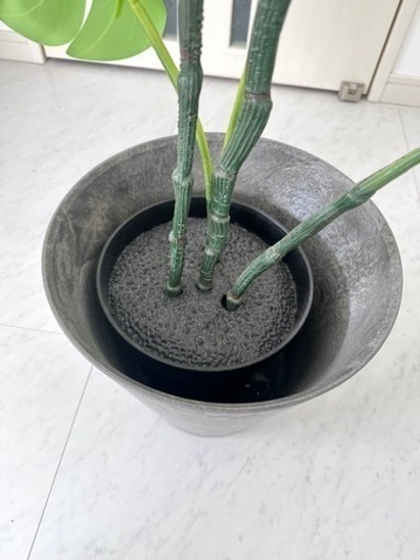 IKEA 人工観葉植物 モンステラ 19cm / ACME Furnitureフラワー
