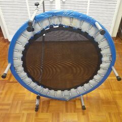 トランポリン  <引き取り限定>の画像