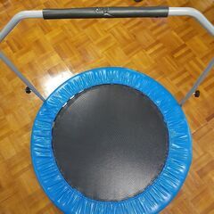 トランポリン  <引き取り限定>の画像