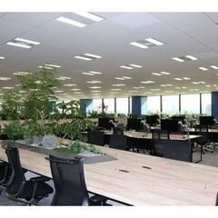 【急募】(227）採用アシスタント