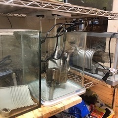 水槽３台お譲りします。
