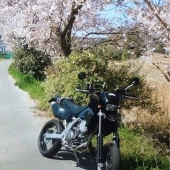 SBの画像