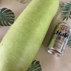 夕顔　
