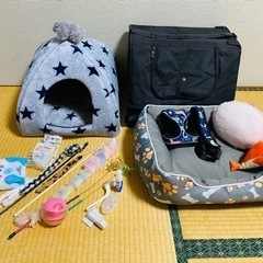 猫用品セット⑩