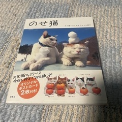 のせ猫