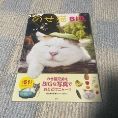 のせ猫BIG