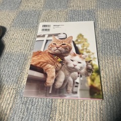 のせ猫BIGの画像