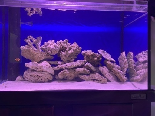 MARFIED 90cm水槽セット