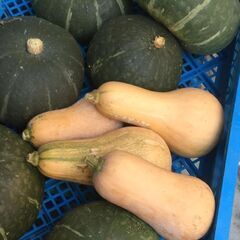 恩送りお野菜セット（9月）のご案内。お困りの方に無償で自然栽培の...