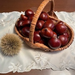 ①栗　無農薬　2Ｌサイズ　1kg
