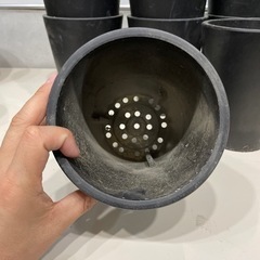 塊根植物用　Black pot 縦長　12個セットの画像