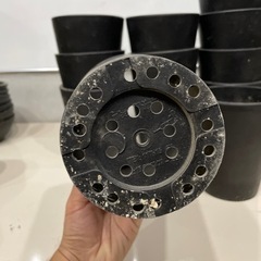 塊根植物用　Black pot 縦長　12個セットの画像